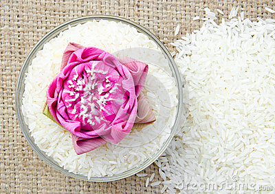 Riz thaïlandais-